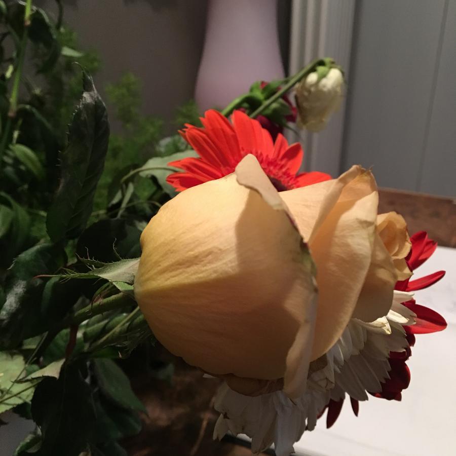 Amaranto Bnb Matera Zewnętrze zdjęcie